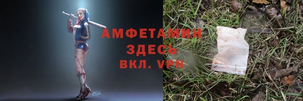 таблы Ельня