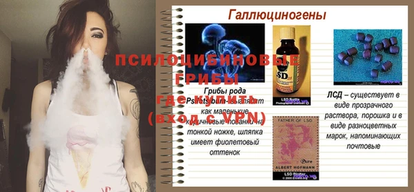 дурь Елизово