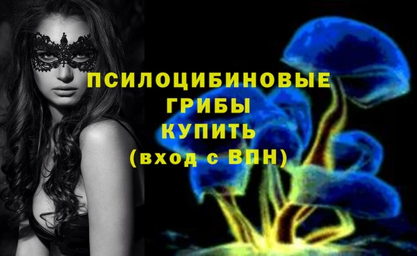 таблы Ельня
