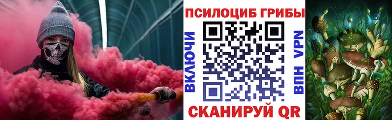Псилоцибиновые грибы Psilocybe  Томилино 